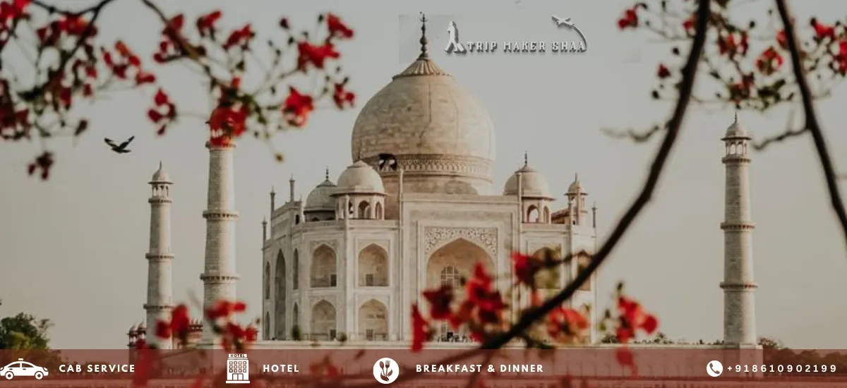 Delhi Agra Jaipur Tour for Tamil Families & Honeymoon Couples