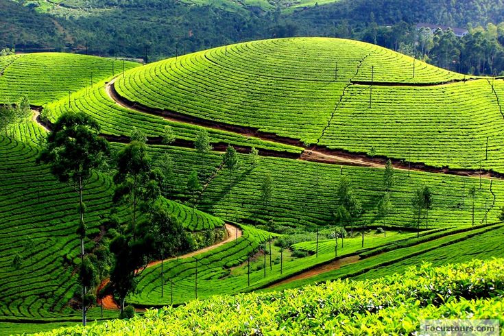 Ooty Tour