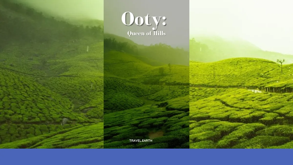 Ooty Travels