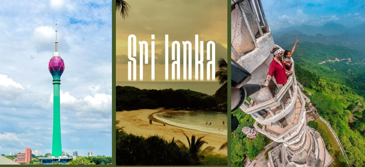 Wildlife Safari Adventure
